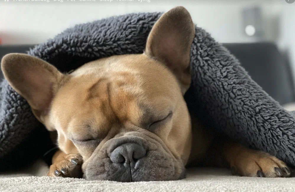 Sleeping well