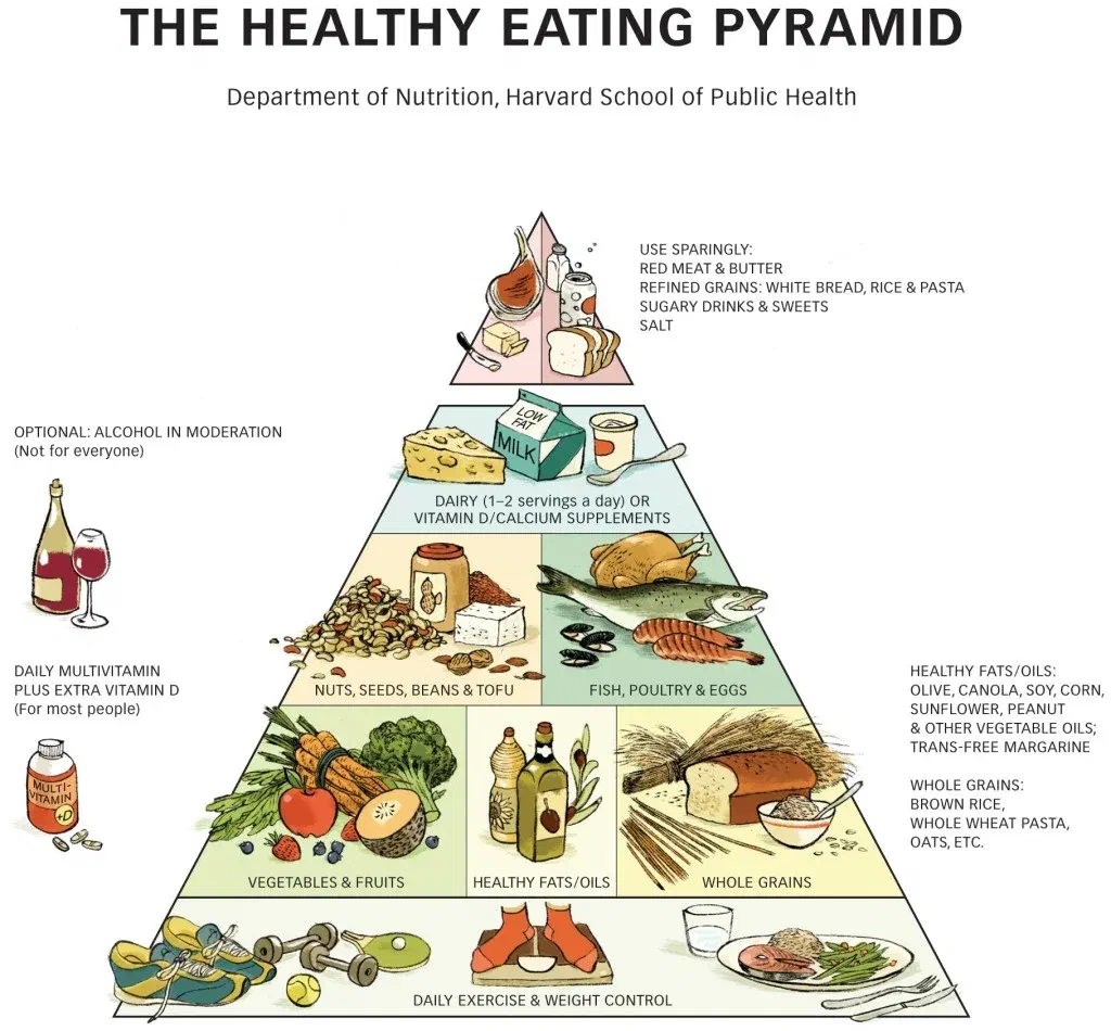 Harvard Food Pyramid